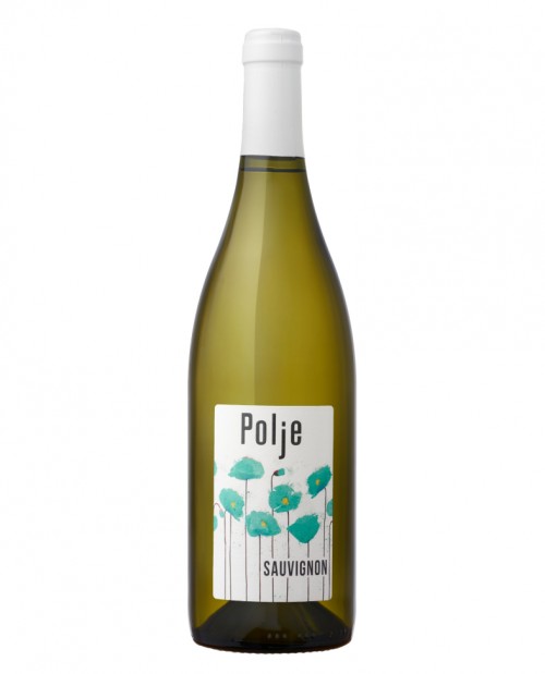 Sauvignon Doc Collio